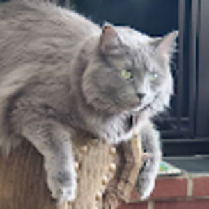 Meet your Posher, Skye